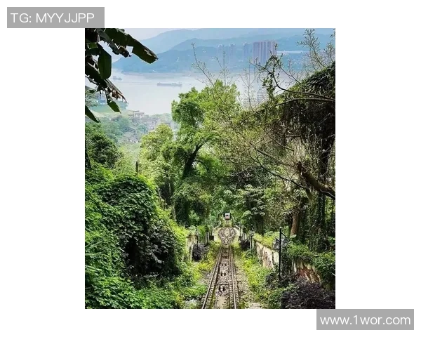 重庆排球队实力飙升创历史新高引发全国关注与热议